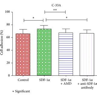 Cell Adhesion Assay A Expression Of Cxcr And Sdf In Cultured