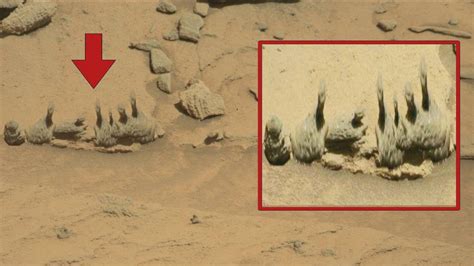 Nasa Perseverance Newly Sent Images Of Mars Curiosity Rover Sent