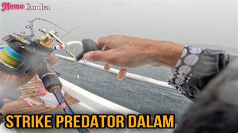 Pertama Kali Jigging Di Kedalaman M Langsung Di Sambar Predator