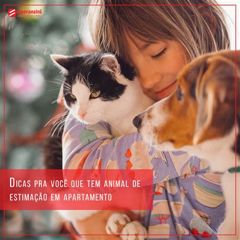 Dicas pra você que tem animal de estimação em apartamento