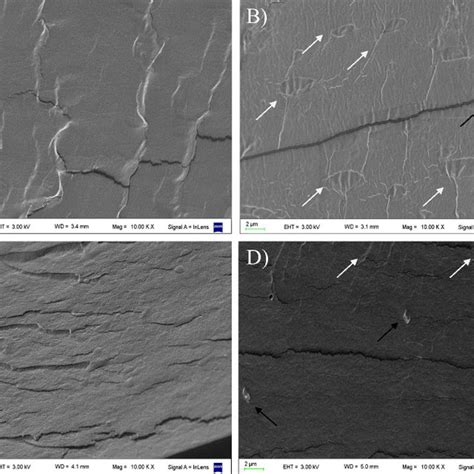 SEM Micrographs Of The Cryogenic Fractured Surface Of The Films A