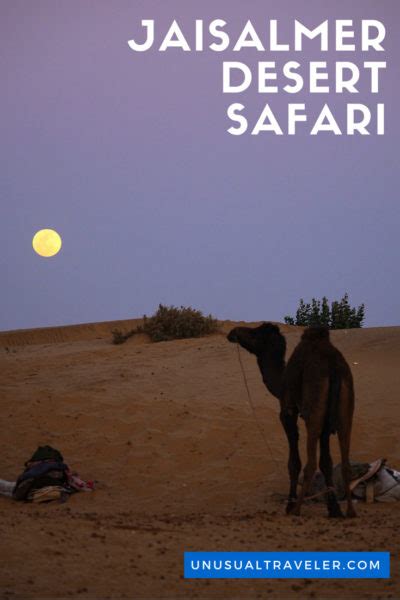 Jaisalmer Desert Safari In The Thar Desert In Rajasthan, India ...