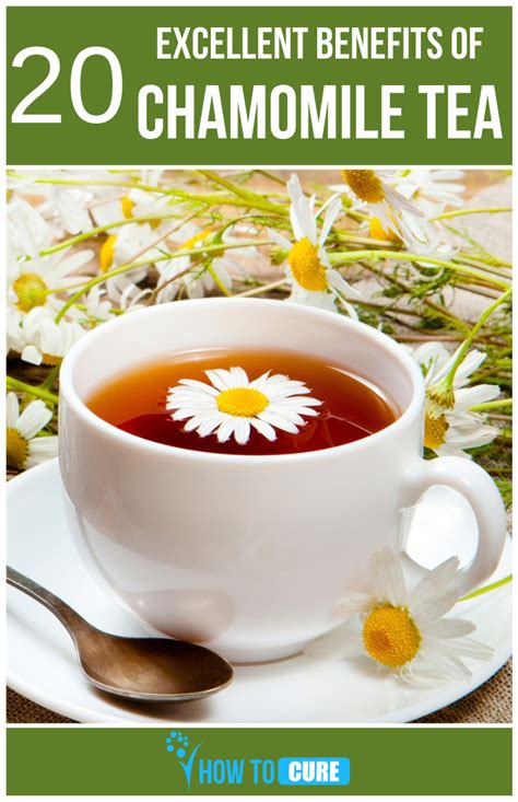 20 Excellent Benefits Of Chamomile Tea For Your Health HowToCure