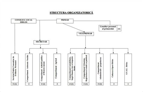 Organigrama Romania