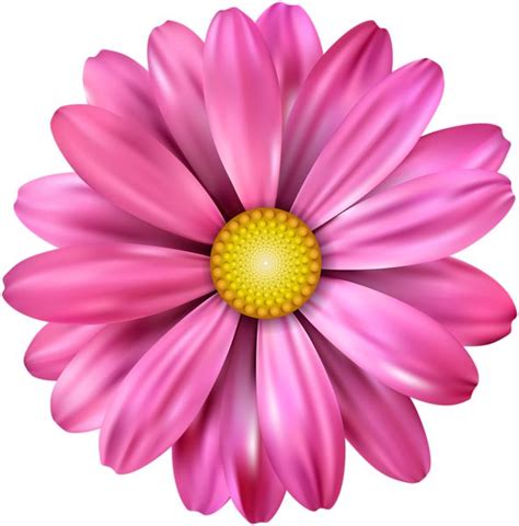 Pink Flower Transparent Image Flower Clipart Flower Art Images