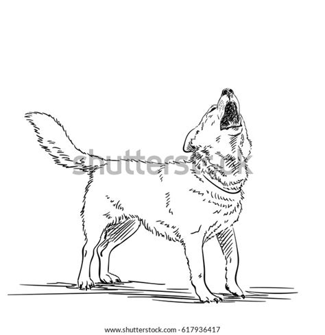 Sketch Howling Dog Hand Drawn Illustration Stock Vector Royalty Free