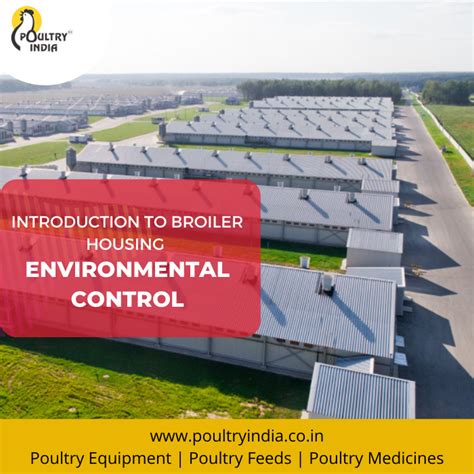 introduction to broiler housing | Poultry house, Environment, Web ...