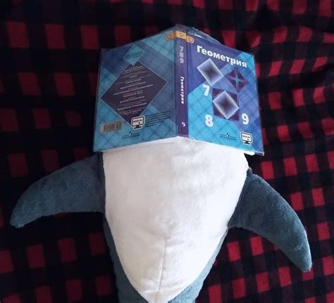 Ikea Shark Plush | Shark plush, Shark, Shark pictures