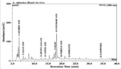 Hplc Chromatogram Of The 80 Aqethanol Extract Of A Odorata Roots