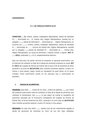 Documento Familia Primer Juzgado De Familia De San Miguel Lvarez