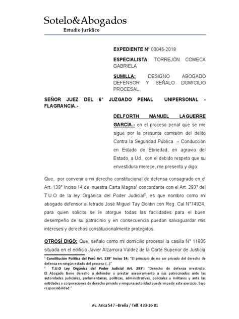 Escrito Designación De Abogado Pdf Ley Procesal Ley Constitucional