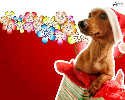 Free Funny Christmas Wallpaper WallpaperSafari