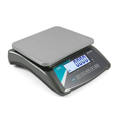 Entry Level Compact Scale Accurex DSX Large Weighing Plate