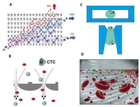 Generation Ctc Isolation Systems Microfluidic Systems Bioz