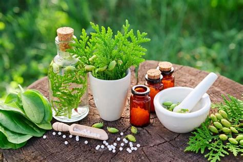 Crucial Facts About Holistic Medicine 💊 Florida Independent