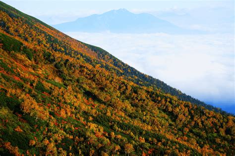 紅葉登山2024【甲信越編】秋だけの絶景を！ おすすめの山と見頃まとめ＜御嶽山、谷川岳、木曽駒ヶ岳、大菩薩嶺など＞ Yamap Magazine