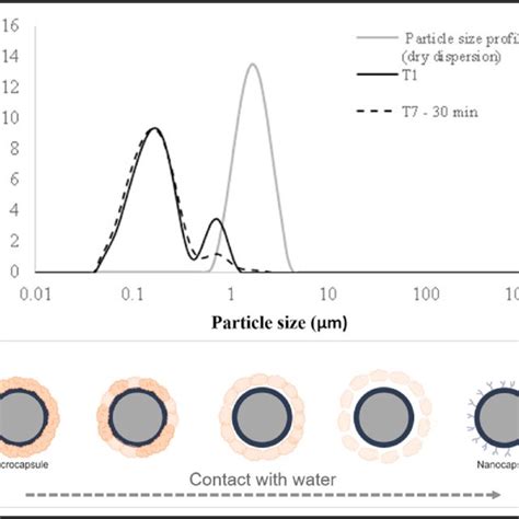 Particle Size Analysis By Laser Diffraction In The Image A The Solid