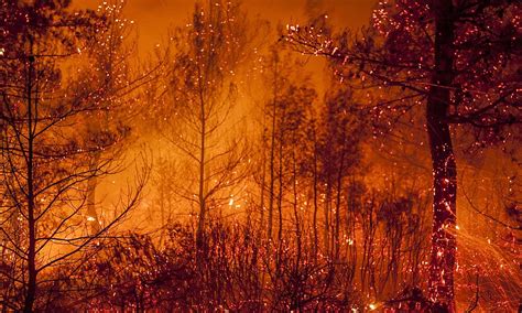 Bosques Los Peores Incendios Forestales En Espana Wwf España