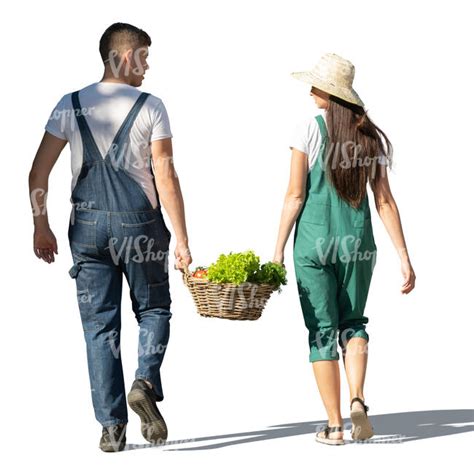 Cut Out Man And Woman Walking And Carrying A Box Of Vegetables Vishopper