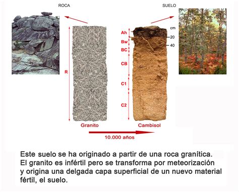 Edafologia Lecci N El Perfil Del Suelo Y Sus Horizontes