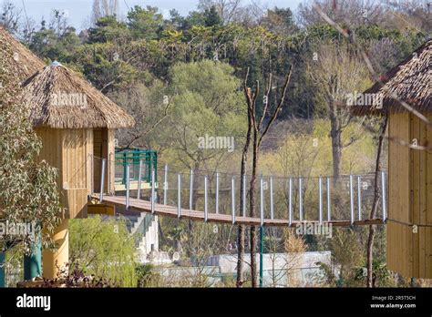 Frankreich Indre Et Loire Loire Tal Das Von Der Unesco Zum