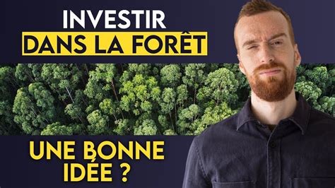 Gfi Comment Investir Passivement Dans Les For Ts Transmission