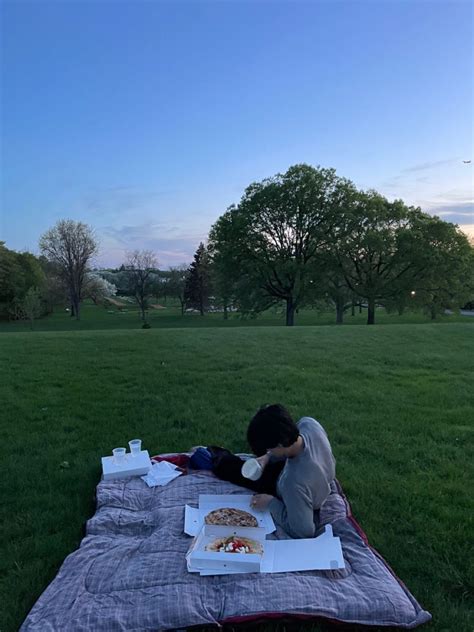 picnic date cute date ideas dream  picnic date
