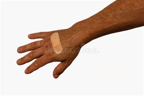skin tone hand cut outs stock   royalty  stock