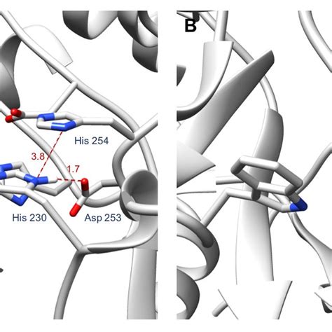 A Schematic Description Of Our Docking Protocol Involving Three