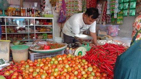 Harga Tomat Di Pasar Sentral Majene Anjlok Jadi Rp 6 Ribu Per Kilogram