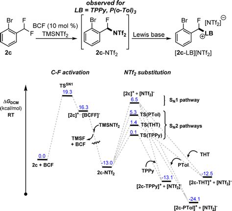 Calculated Reaction Profiles For Formation And Nucleophilic Download Scientific Diagram