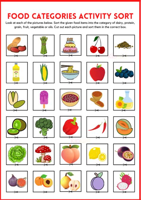 Food Categories Activity Sorting Printable Worksheets Kidpid