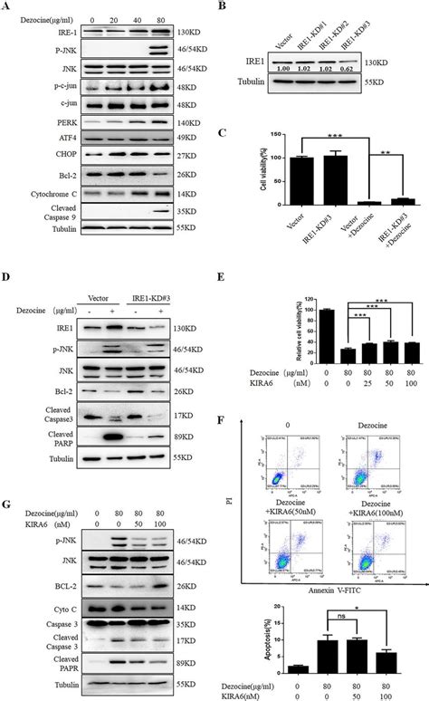 Dezocine Induces The Er Stress Response Through The Ire1 Jnk Signaling