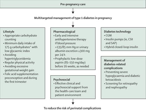 Management Of Type Diabetes In Pregnancy Update On Lifestyle