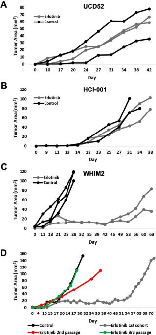 Transcriptomic Changes Underlying EGFR Inhibitor Resistance In Human