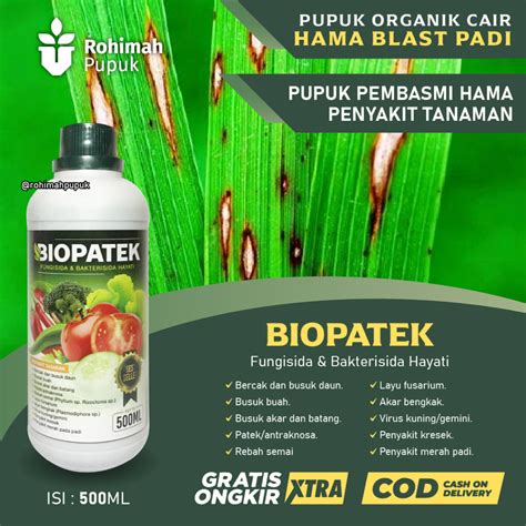 Jual Biopatek Fungsida Bakterisida Hayati Mengatasi Hama Penyakit