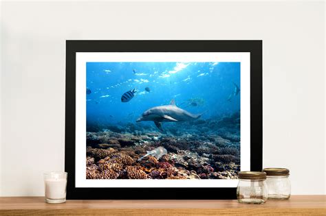 Dolphins Canvas Printing Online Art Gallery Port Melbourne