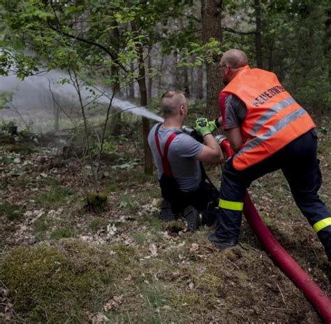 Schon mehr als 200 Waldbrände in Brandenburg WELT