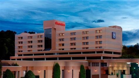 Place To Stay in Charlotte, NC | Sheraton Charlotte Airport Hotel