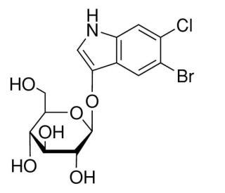 Bromo Chloro Indolyl D Glucopyranoside Cas Scbt