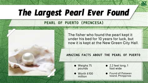 These Are The Largest Pearls Ever Found