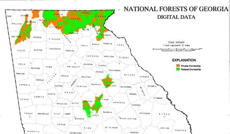 Chattahoochee Oconee National Forest