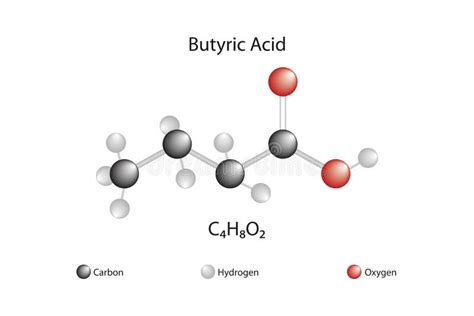 Fórmula Molecular Del ácido Butirénico Estructura Química Del ácido