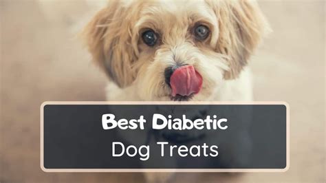 10 Best Diabetic Dog Treats - Low Carb Content Treats 2022