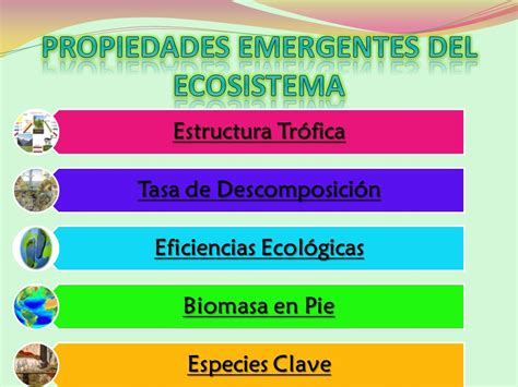 ECOSISTEMA DEFINICION Y PROPIEDADES EMERGENTES Ppt Video Online