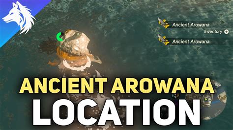 Ancient Arowana Fish Location For Zora Armor Zelda Tears Of The Kingdom