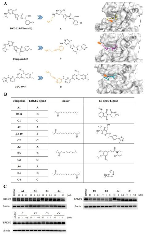 Ijms Free Full Text Design Synthesis And Antitumor Activity