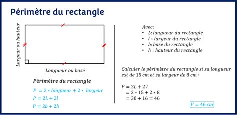 Périmètre du rectangle