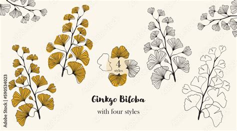 Hand Drawn Silhouette Set Of Ginkgo Biloba Tree Isolated On White Hand