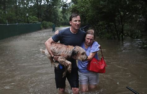 People Banding Together To Save Animals During Hurricane Harvey